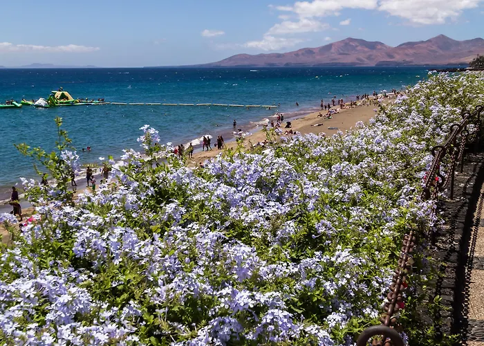 Apartamento Bluesea El Dorado Puerto del Carmen (Lanzarote)